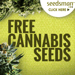 Buy Cannabis Seeds