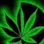 Cannabis Dispensaries in Denver: applications invited