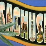 Massachusetts to Vote on Medical Marijuana