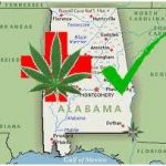 Medical Marijuana: Alabama