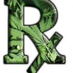 Medical Marijuana: Florida