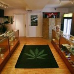 The Medical Marijuana Business and Millionaires