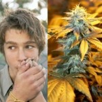 Adolescent cannabis users could end up with a lower IQ