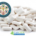 Medical Marijuana Chewing Gum for Pain Relief
