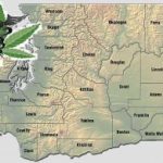 Washington Medical Marijuana Laws