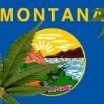 Montana re-thinking its medical marijuana program
