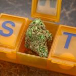 Michigan Medical Marijuana Changes Pt. I