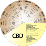 CBD – A Miracle Compound?