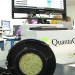 Two Major Marijuana Research Companies Are Merging