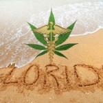 The Consequences of Growing Weed in Florida