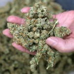 Michigan Dispensary Shuts Down. Patients Lose Access To Weed.