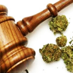 Medical marijuana transportation law 101: Sanilac County, Michigan