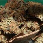 Reiters Syndrome and Medical Marijuana