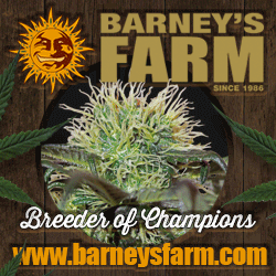 barneysfarm
