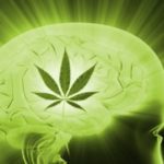 Cannabis as Treatment for Migraine Headaches