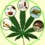 The Best Way to Consume Medical Marijuana