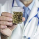 Why A Marijuana Doctor