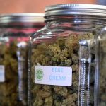 CBD (Cannabidiol) In Medical Marijuana