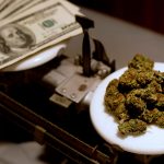 THE SALES OF MEDICAL MARIJUANA SOAR AT AURORA AS LEGALIZATION OF RECREATIONAL WEED APPROACHES