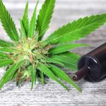 The Effect Of Cannabidiol To The Human Life