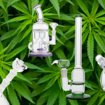 Finding The Best Bongs of 2018