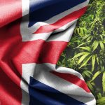 Medical Cannabis is now Legal in the United Kingdom – These are the Implications
